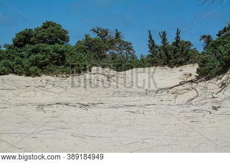 Photo Of Greece Island Chrysi With White Sand  Cedar Trees