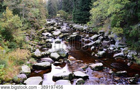 Wild Vydra River In Sumava National Park.