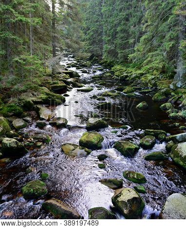 Wild Vydra River In Sumava National Park.