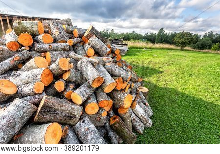 Chopped And Stacked Up Dry Firewood At The Countryside. Stock Pile Of Timber, Chopped Down Trees At 