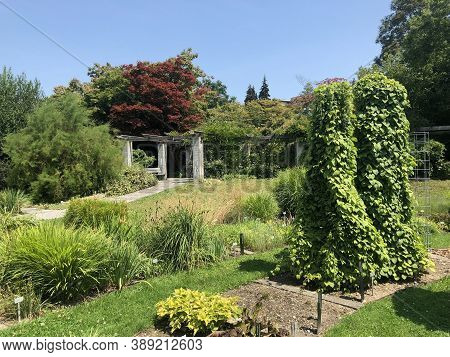 Botanical Garden St Image Photo Free Trial Bigstock