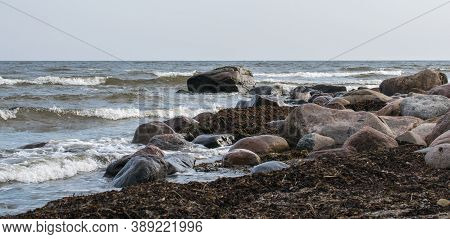 The Rocky Coast Of The Baltic Sea In Mersrags In Latvia. Cape Mersrags.