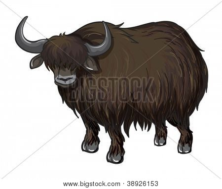 ilustrace Buffalo na bílém pozadí