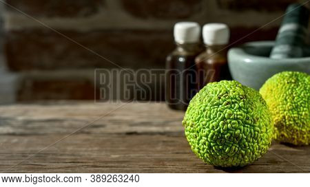 Fruit Of The Maclura Pomifera Tree Or Horse Apple On A Wooden Table. Adam's Apple For Medical Use, A
