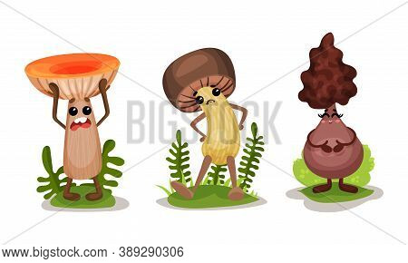 Humanized Mushrooms With Cap And Stipe Smiling And Screaming Vector Set