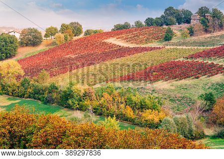 Autumn Landscape, Vineyards And Hills At Sunset. Lambrusco Grasparossa At Castelvetro Di Modena, Ita