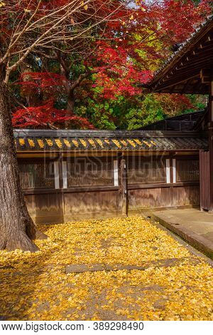 Autumn And Foliage In Japan. Red Maple And Yellow Ginkgo Leaves Near An Ancient Temple