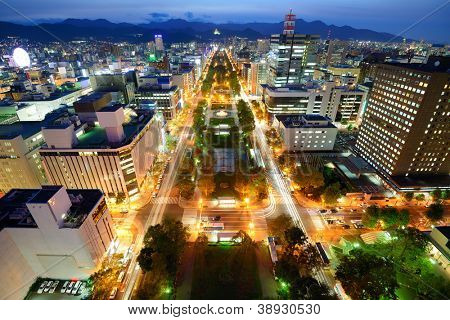 Toits du quartier Parc Odori du centre ville de Sapporo, Japon.