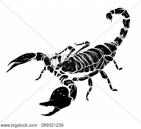 Black Silhouette Vector Scorpion Tattoo - Ornate Exquisite Scorpion Image, Sign Horoscope