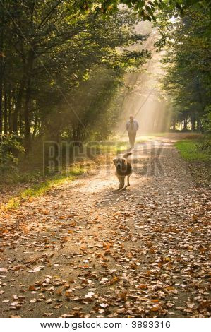 人と犬