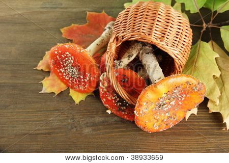 červené amanitas v koši, na dřevěné pozadí