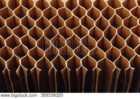 honeycomb cells of cardboard stiffening rib background