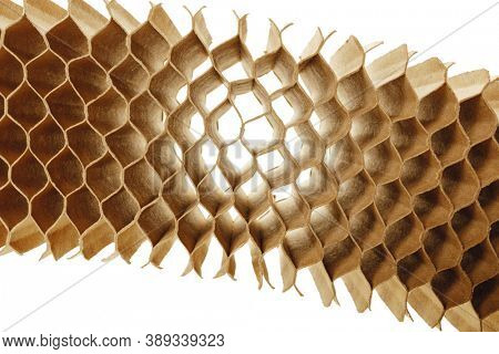 honeycomb cells of cardboard stiffening rib background