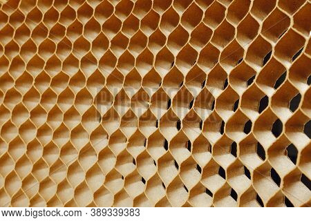 honeycomb cells of cardboard stiffening rib background