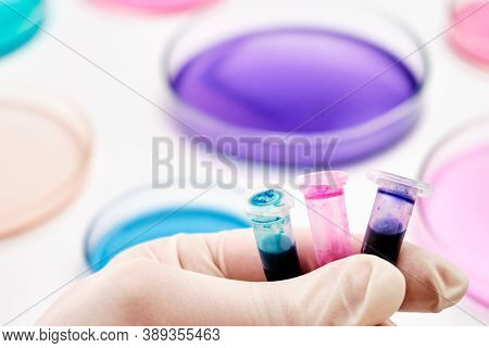 Eppendorf Tubes With Blue, Green And Pink Liquids In The Hand Of Scientist On The Background Of Petr