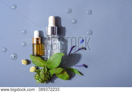 Natural Serums. Concept Of Cosmetic Injection Is Hyaluronic Acid, Botulin, Serum Aromatherapy Oil, C
