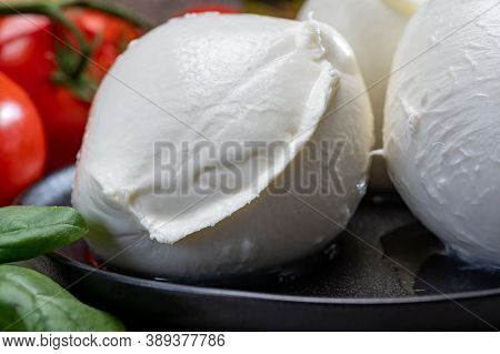 Fresh Handmade Soft Italian Cheese From Campania, White Balls Of Buffalo Mozzarella Cheese Made From