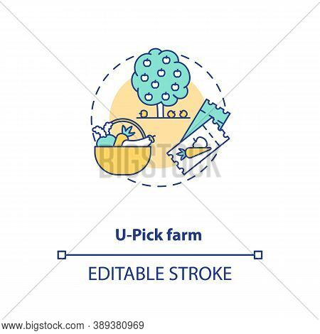U Pick Farm Concept Icon. Collecting Vegetables And Fruits On Your Own. Farming Options. Agritourism