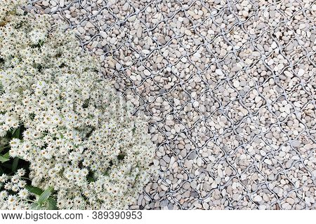 White Pedestrian Path From Small Gravel With Plastic Garden Grate, Along The Flower Bed With White F