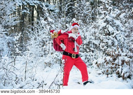 Santa Claus Comes In The Snow Forest