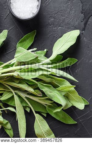 Organic Fresh Sage On Black Background Top View.