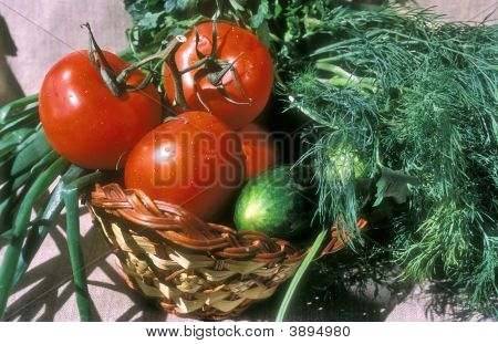 Sebze ve salata
