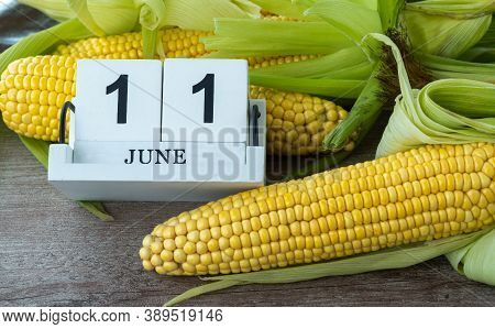 Corn Cob On A Wooden Background. June 11, National Corn On The Cob Day.