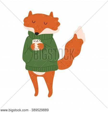 Happy Red Fox Standing And Drinking Hot Cocoa With Marshmello