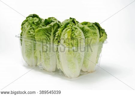 Lettuce Buds In A Plastic Tray On White Background