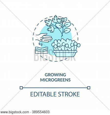 Growing Microgreens Concept Icon. Practice Of Growing Little Green Herbs. Vegetable Confetti. Urban 