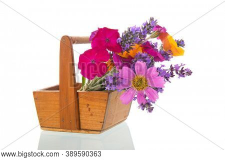 Colorful flower bouquet in wooden harvest basket