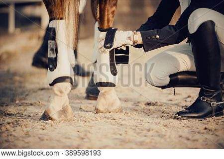 Removes Of The Legs A Red Horse Sports Equipment - Knee-caps And Bandages. Feet Sports Horse And Rid