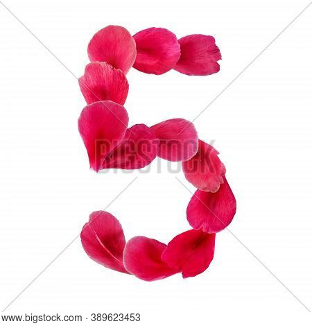 Natural Floral Character 5 From Petals Isolated On White Background. Number Made From Pink Rose, Peo