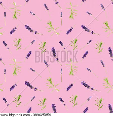 Seamless Pattern Made From Lavendel Flowers Isolated On Pink. Fresh Blossoms. Floral Pattern.