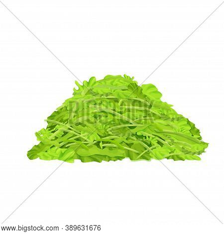 Bright, Fresh Lettuce, Chopped In Small Pieces, Stack Of Salad Isolated On White Background. Pile Of