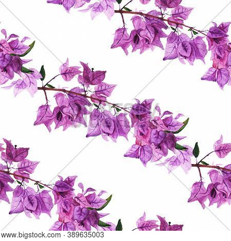 Seamless Pattern With Flowers Of Bougainvillea. Hand Drawn Watercolor Illustration. Good Design For 