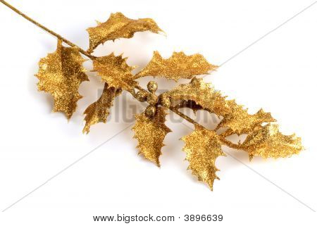 Holly oro
