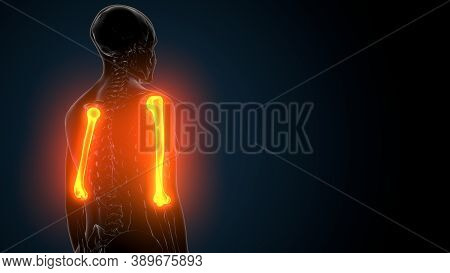 3d Illustration Human Image & Photo (Free Trial) | Bigstock