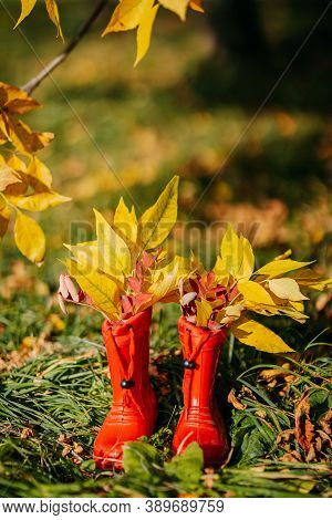 Red Kids Gumboots With Yeallow Leaves Inside. Autumn Coziness With Foliage Inside The Boots. Golden 