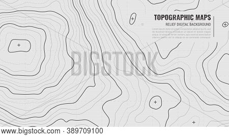 Stylized Height Of Topographic Contour In Lines. Concept Of A Conditional Geography Scheme And Terra