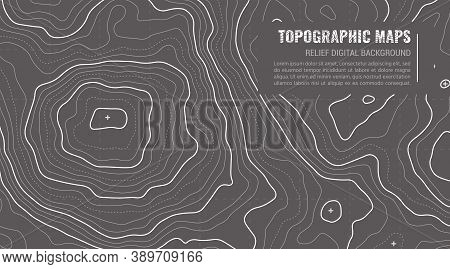 Topographic Map Contour Background. Topo Map With Elevation. Contour Map Vector. Geographic World To