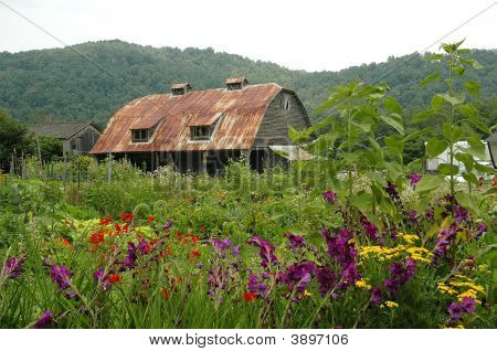 Rustico fienile tra i fiori selvatici