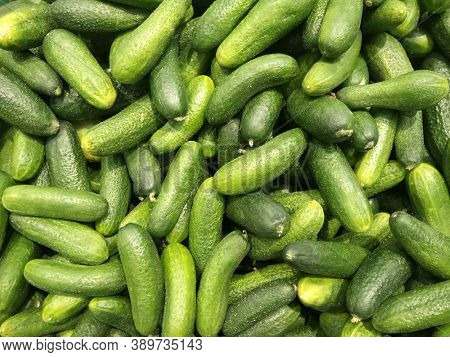 Pile Of Fresh Green Cucumbers On The Supermarket Counter