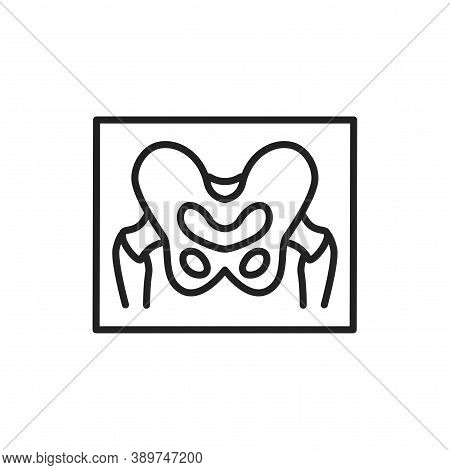 Pelvis Images Illustrations Vectors Free Bigstock