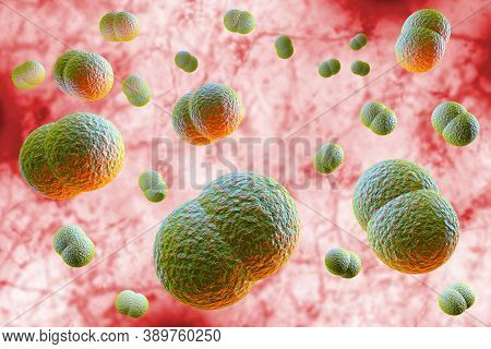 Microscope Close Up Of Meningitis Bacteria, Also Known As Meningococcus 3d Illustration
