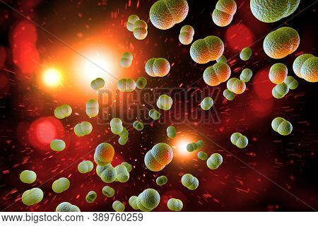 Microscope Close Up Of Meningitis Bacteria, Also Known As Meningococcus 3d Illustration