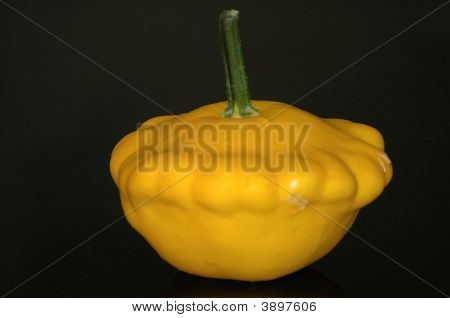 Ritratto di una zucca