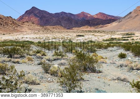Creosote Plants On A Sandy Arid Plain With Barren Mountains Beyond Taken In The Rural Mojave Desert,