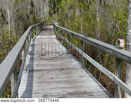 Numbered Markers On A Nature Trail At Trout Lake Nature Center, Eustis, Florida, Correspond To A Tra
