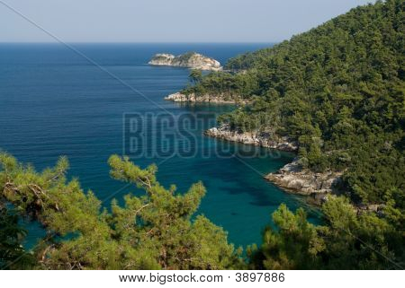 Seaside og Pine Forest Thassos Island Grækenland